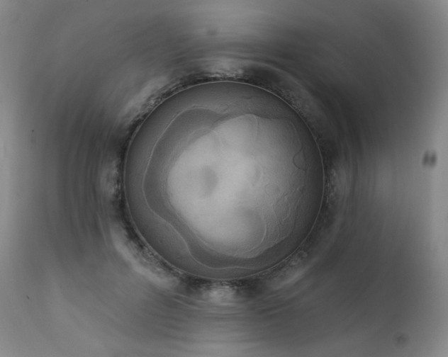 X0000111440600200907131307