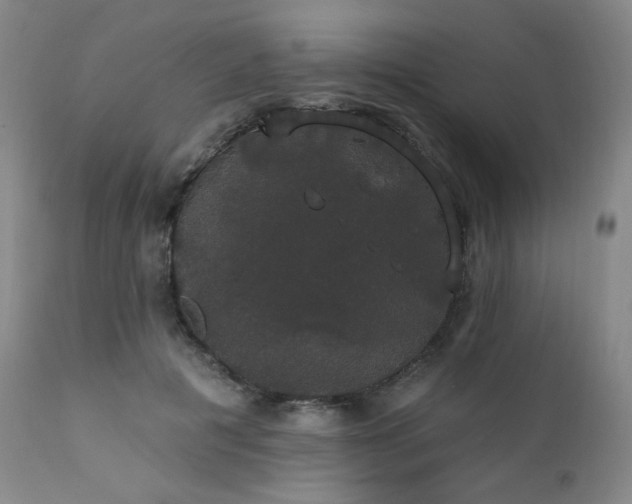 X0000111440601200907131307