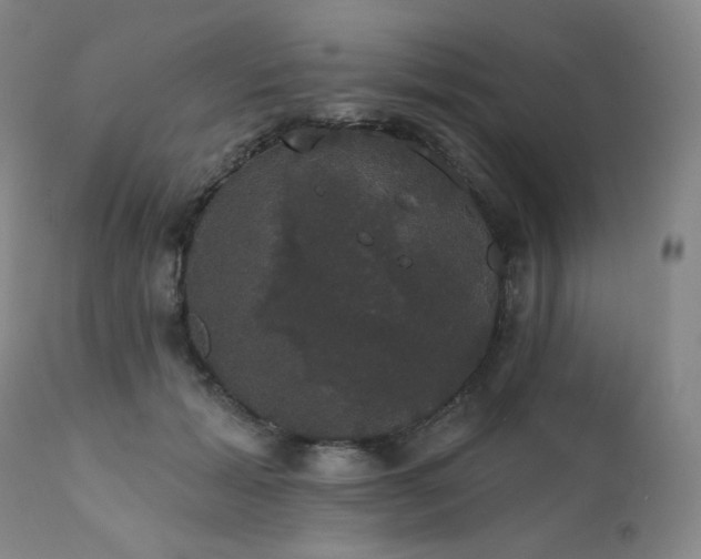 X0000111440605200907131307