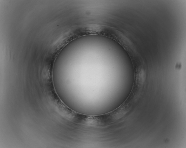 X0000111440608200907131307