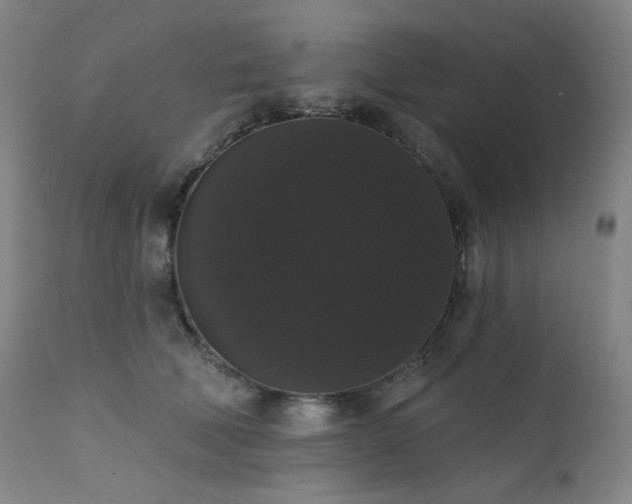 X0000111440610200907131307