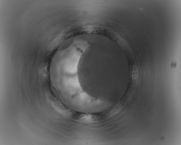 X0000111440611200907131307