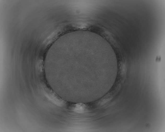 X0000111440612200907131307