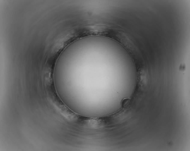 X0000111440615200907131307