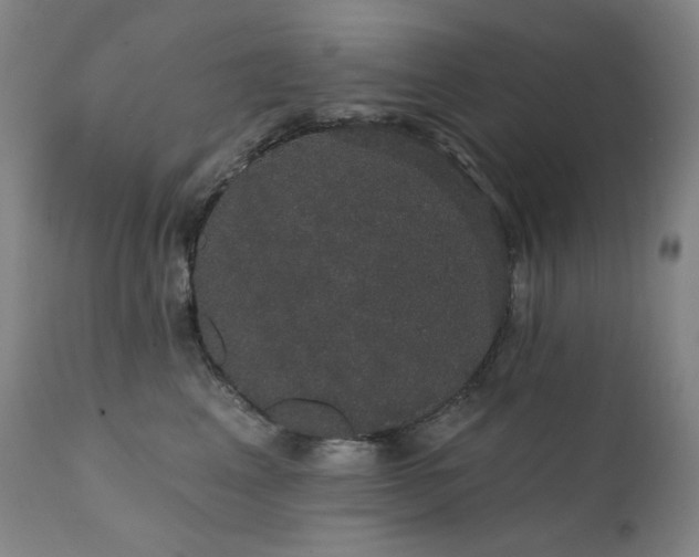 X0000111440617200907131307
