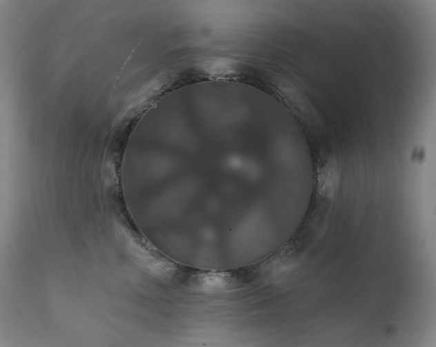 X0000111440618200907131307