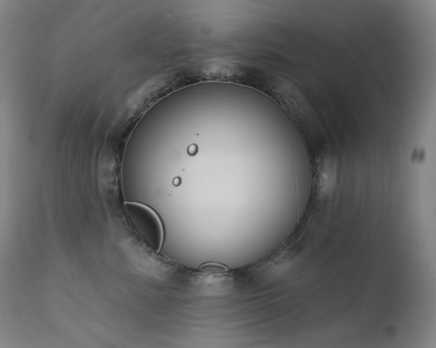 X0000111440619200907131307