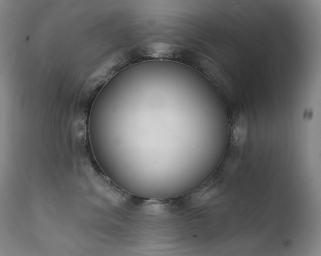 X0000111440620200907131307