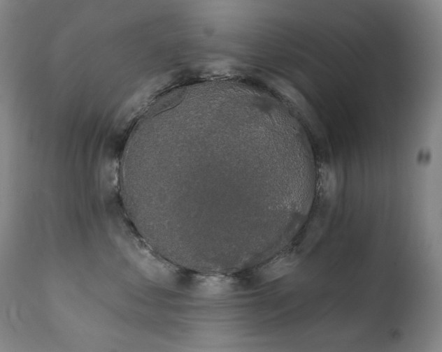 X0000111440621200907131307
