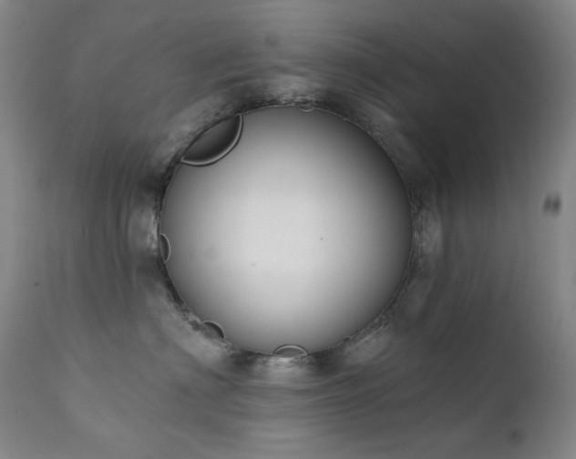 X0000111440622200907131307