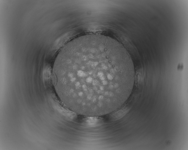 X0000111440623200907131307