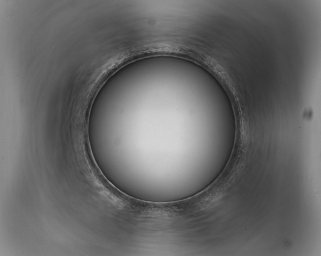 X0000111440625200907131306