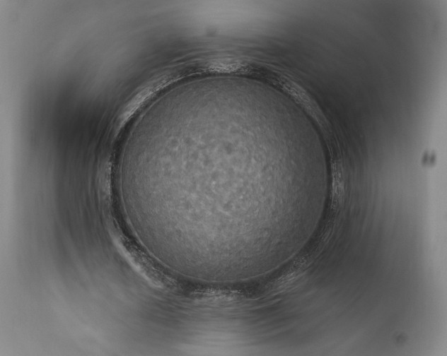 X0000111440626200907131306