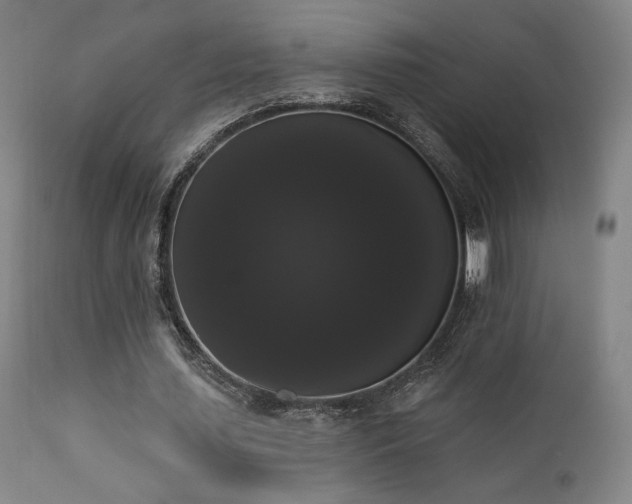 X0000111440627200907131306