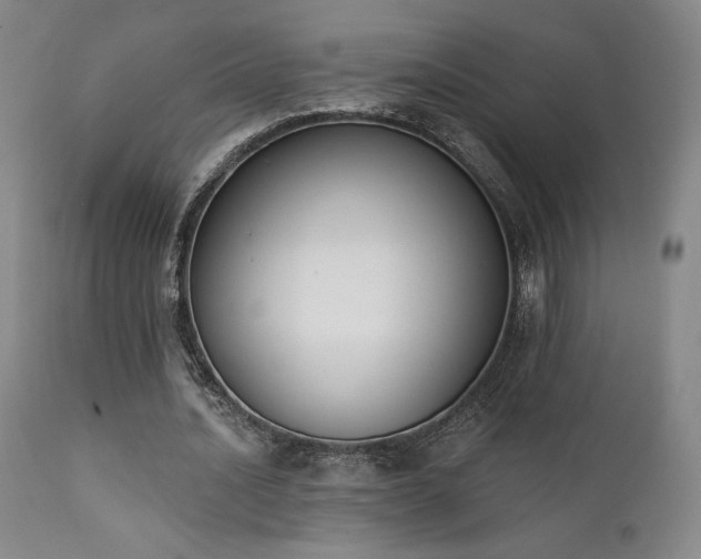 X0000111440628200907131306