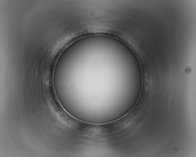 X0000111440631200907131306