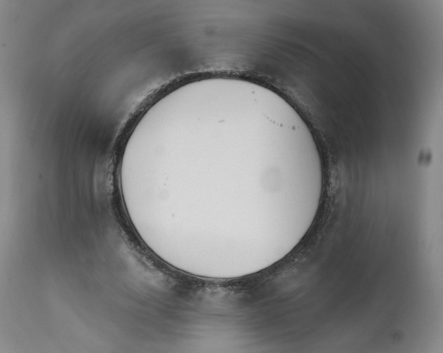 X0000111440632200907131306