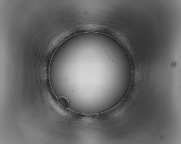 X0000111440633200907131306
