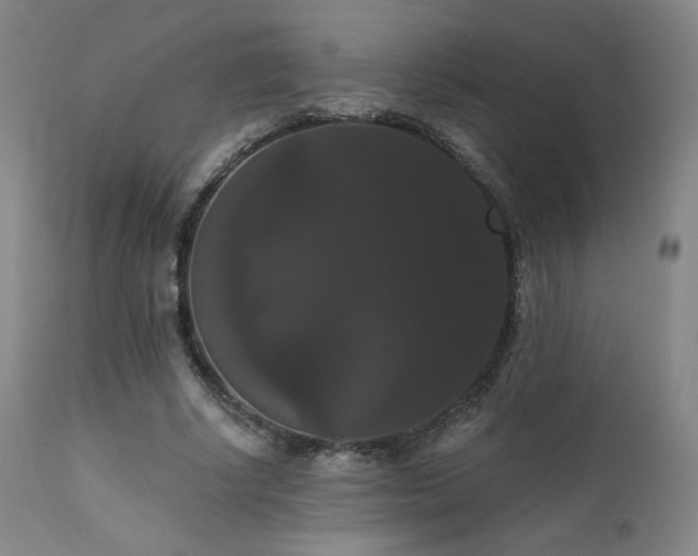 X0000111440634200907131306