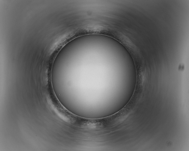 X0000111440638200907131306