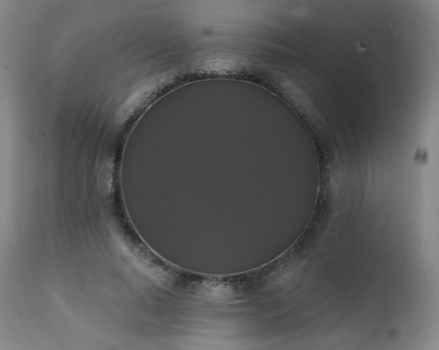 X0000111440640200907131306