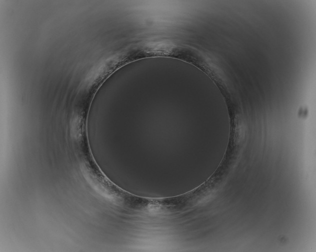 X0000111440641200907131306