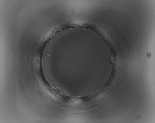 X0000111440642200907131306