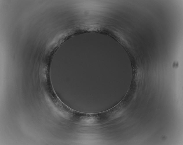 X0000111440643200907131306