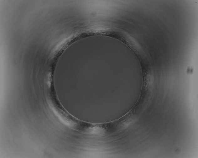 X0000111440644200907131306