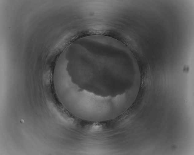 X0000111440647200907131306