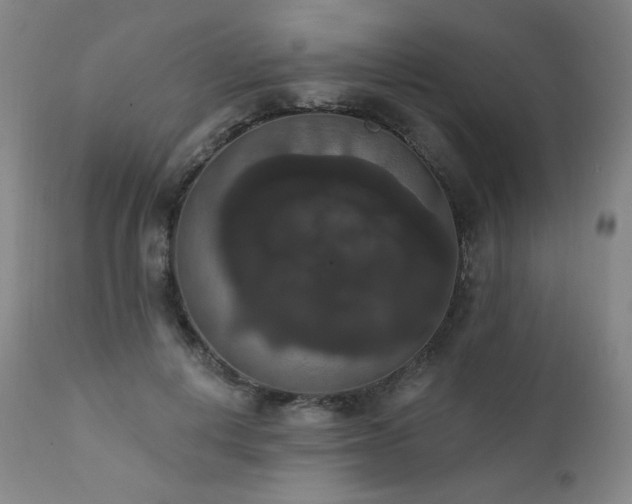 X0000111440648200907131306