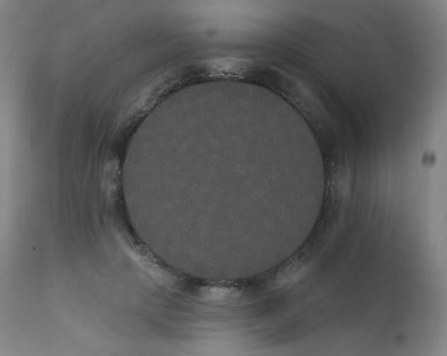 X0000111440649200907131306