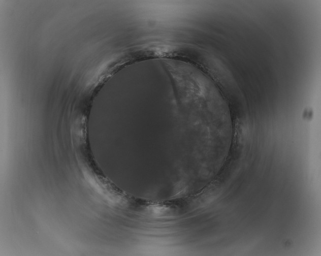 X0000111440650200907131306