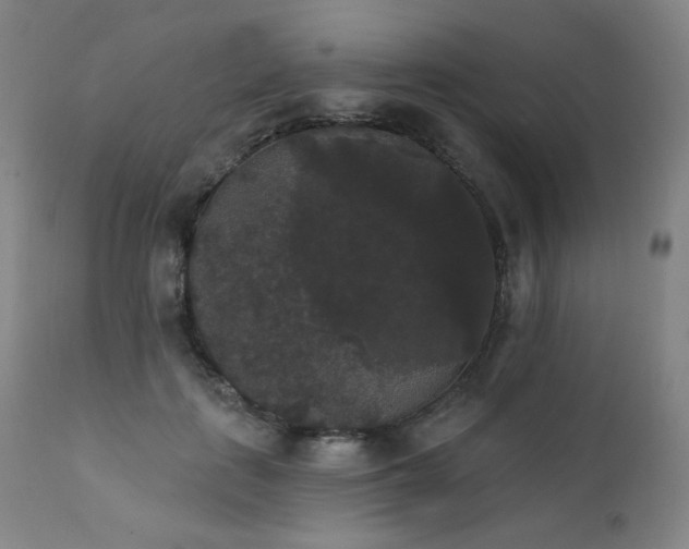 X0000111440651200907131306