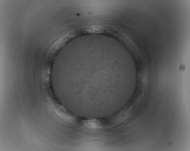 X0000111440652200907131306