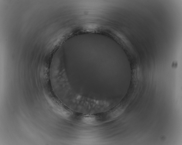 X0000111440653200907131306