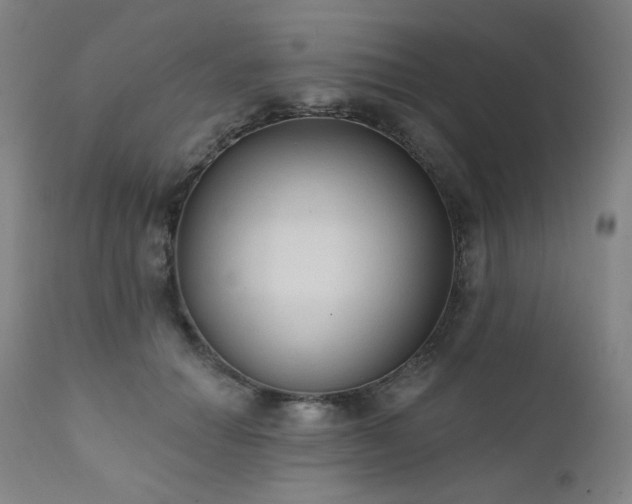 X0000111440654200907131306