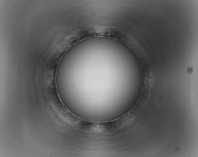 X0000111440656200907131306