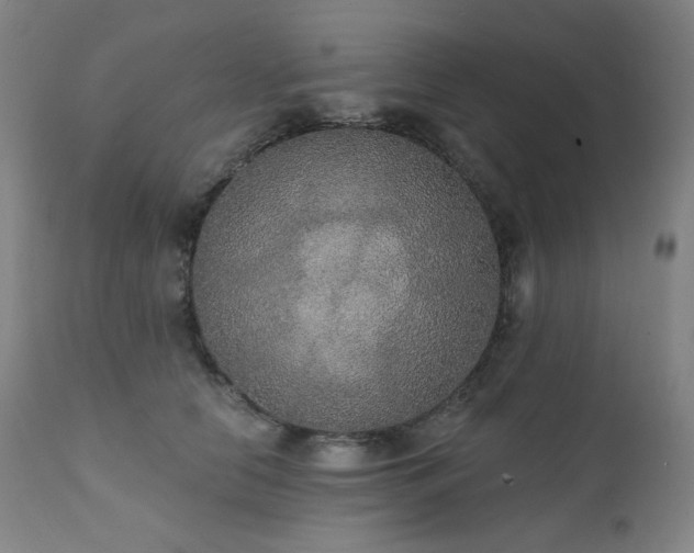 X0000111440658200907131306