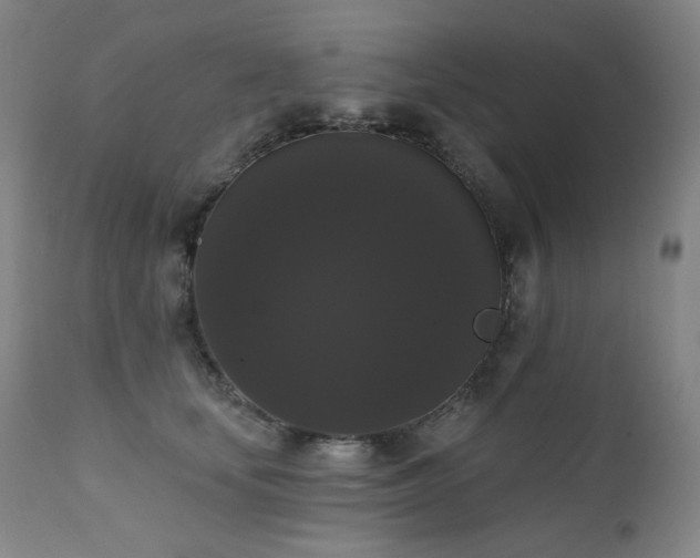 X0000111440659200907131306