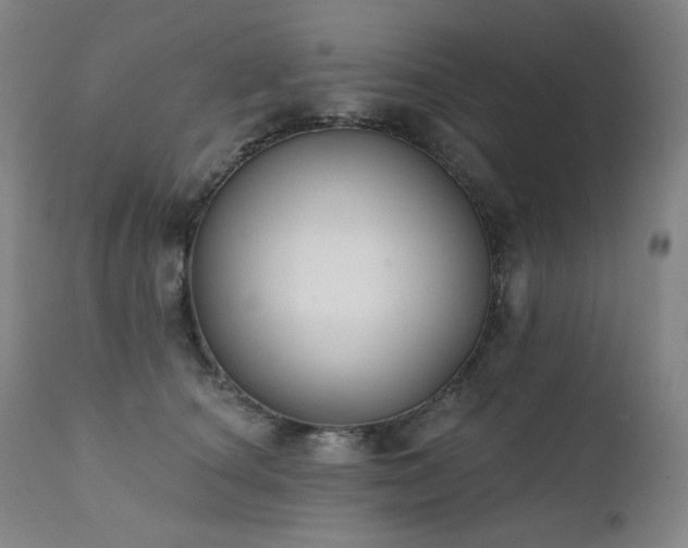 X0000111440660200907131306