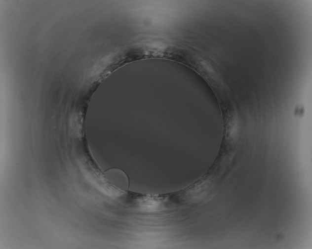 X0000111440661200907131306