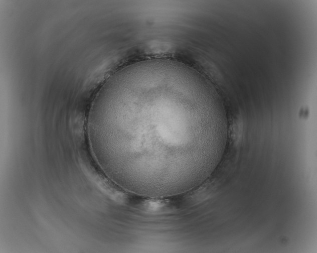 X0000111440662200907131306
