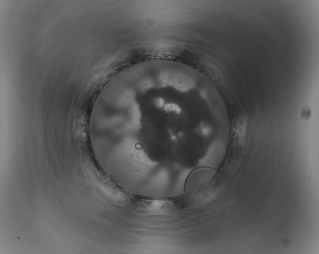 X0000111440663200907131306