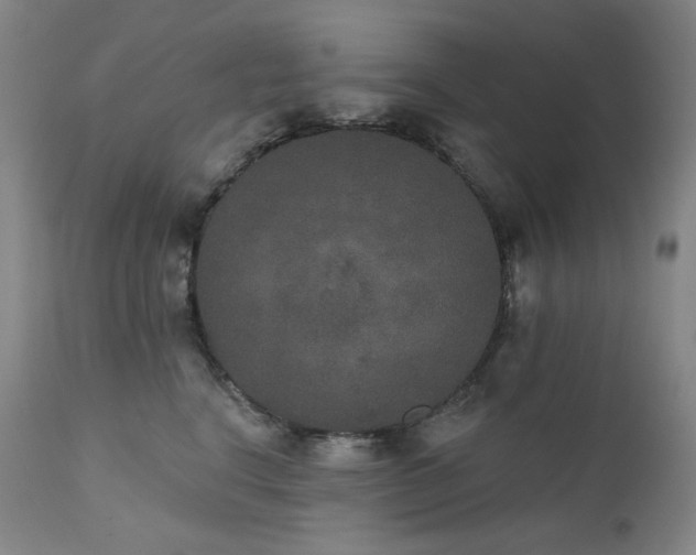 X0000111440664200907131307