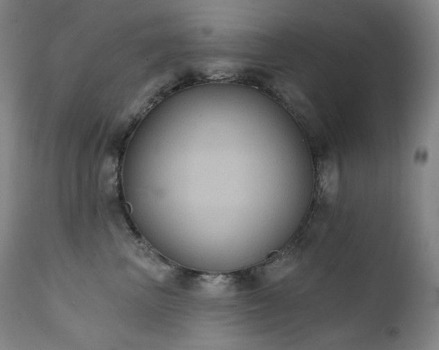 X0000111440667200907131307