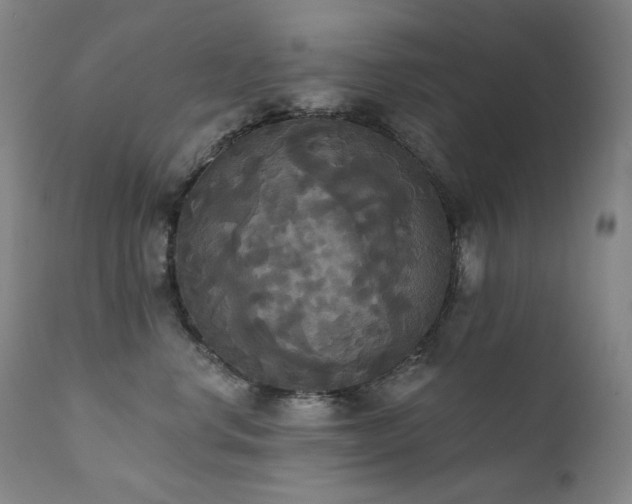 X0000111440668200907131307