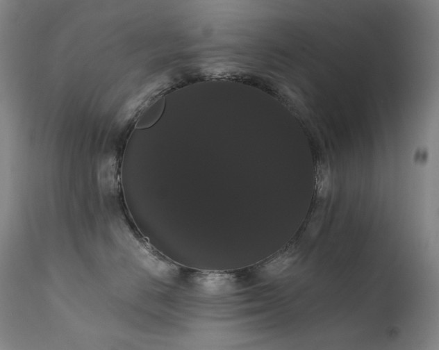 X0000111440670200907131307