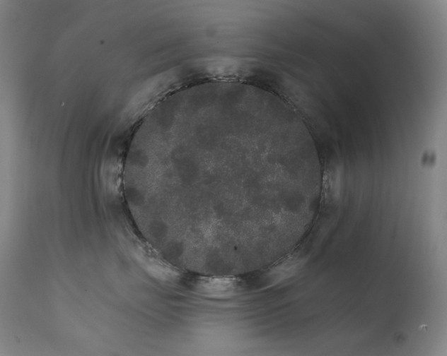 X0000111440671200907131307