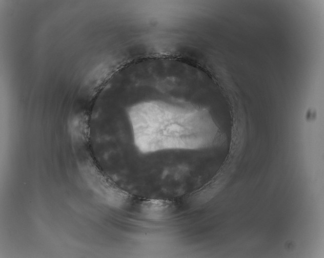 X0000111440672200907131307